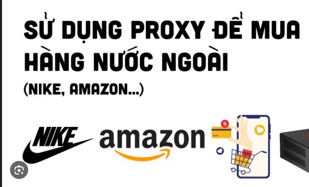 Banner 1